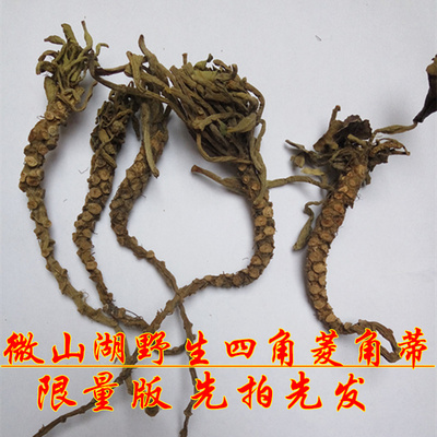 微山湖野生四角菱角蒂 菱角茎 菱角秧 干货 四角菱角壳 菱角蒂