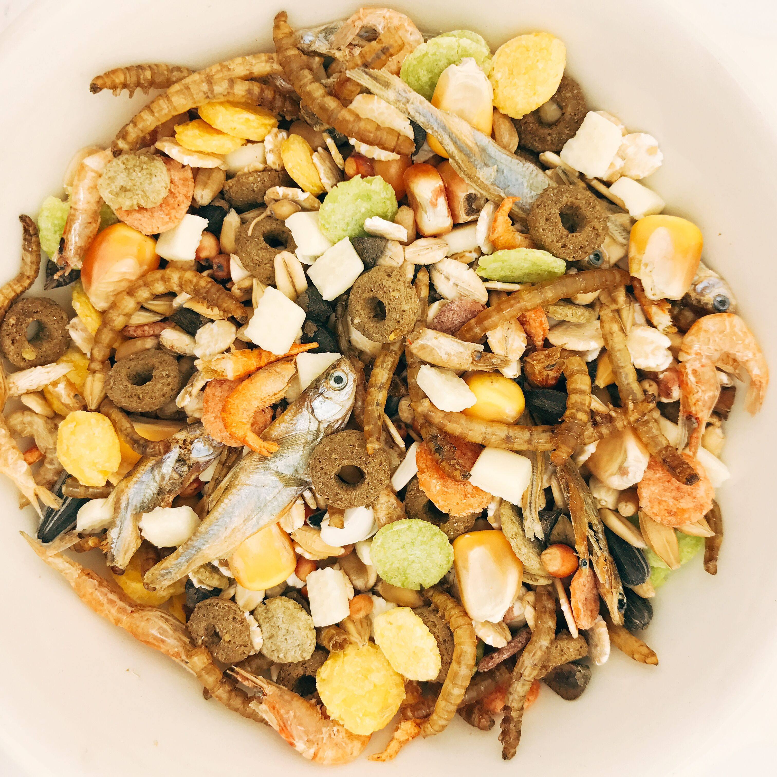 小白鼠老鼠耗子_包邮】400g仓鼠粮五谷杂粮金丝熊零食小白鼠仓鼠用品