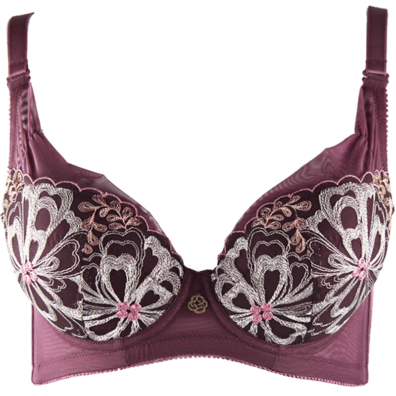 桑扶兰品牌秋冬大杯聚拢调整文胸侧收型刺绣女士内衣薄模杯