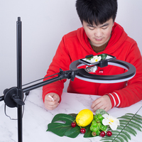 明星后宫小说合集 娱乐圈yy种马后宫小说 小说女明星后宫