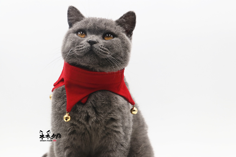 宠物圣诞围巾_木木夕 多乐米宠物围脖狗狗猫咪圣诞节铃铛领巾 小丑