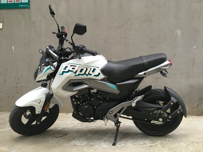 摩托改装后挡泥板银钢迷你春风st狒狒力帆小鬼望江大公仔m3小猴子