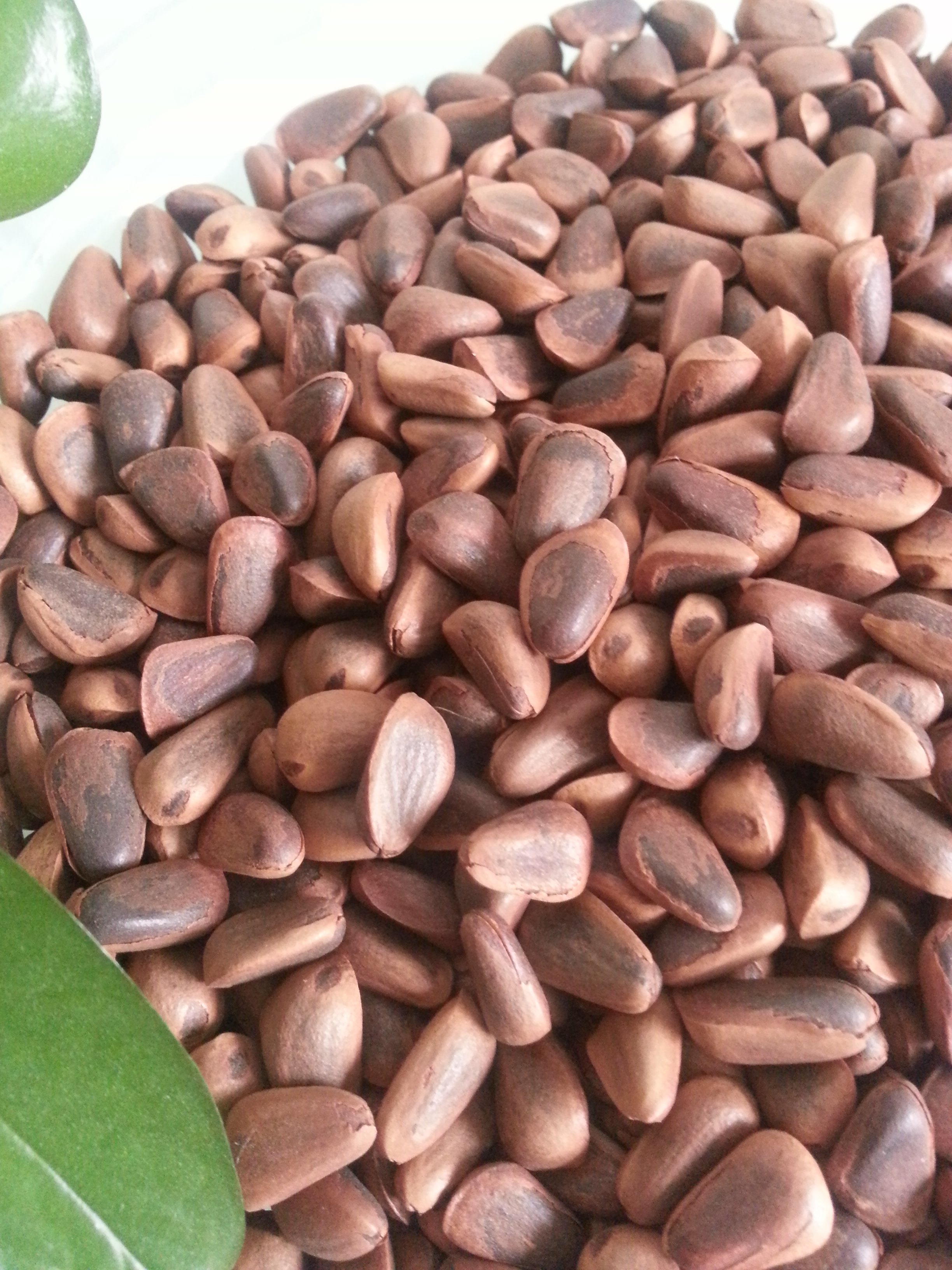 松子开口 包邮500克