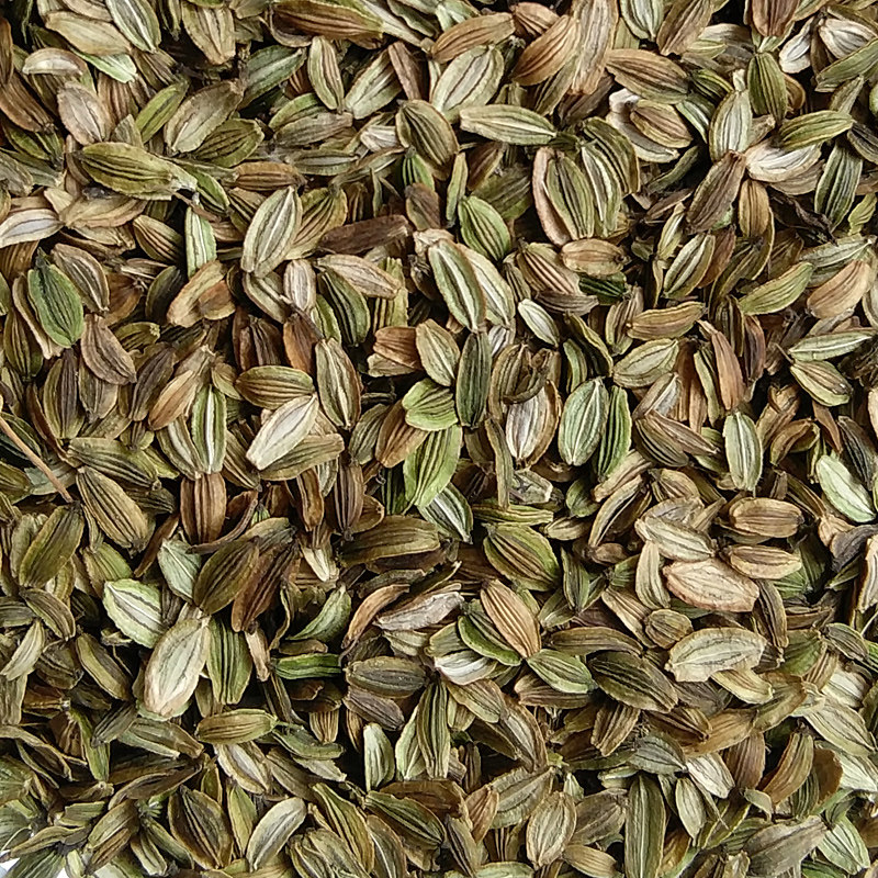 日本青汁酵素_包邮2017日本明日叶种子新种 农家种植 强大麦若叶 抹茶