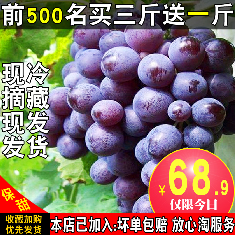 彩云之蒙自 新鲜水果云南阳光玫瑰葡萄 日本晴