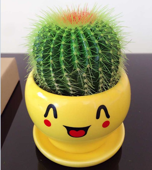 超大仙人球盆栽 虎狂刺办公室多肉植物绿植花卉防辐射包邮