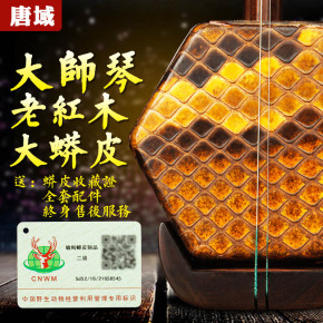 二胡考级的等级划分