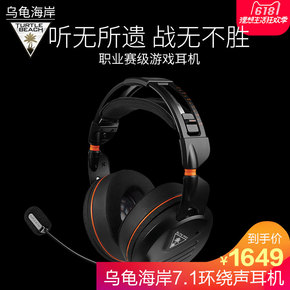 乌龟吃火腿肠吗