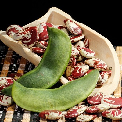 大理荷包豆500g煲汤香非花白芸豆农户自种2份包邮