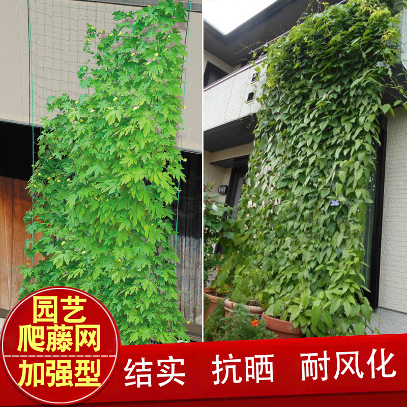 绳网 家庭园艺攀爬网装饰网吊顶楼梯阳台窗户挂衣网植物爬藤网