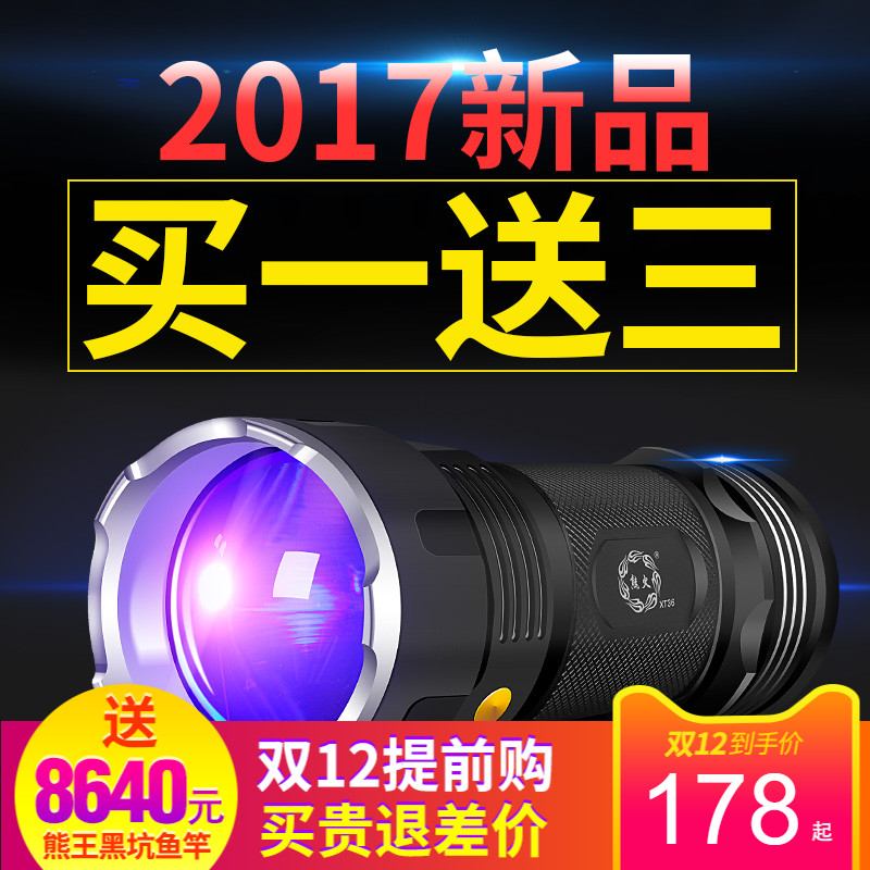 熊火夜钓灯多少钱，使用评测