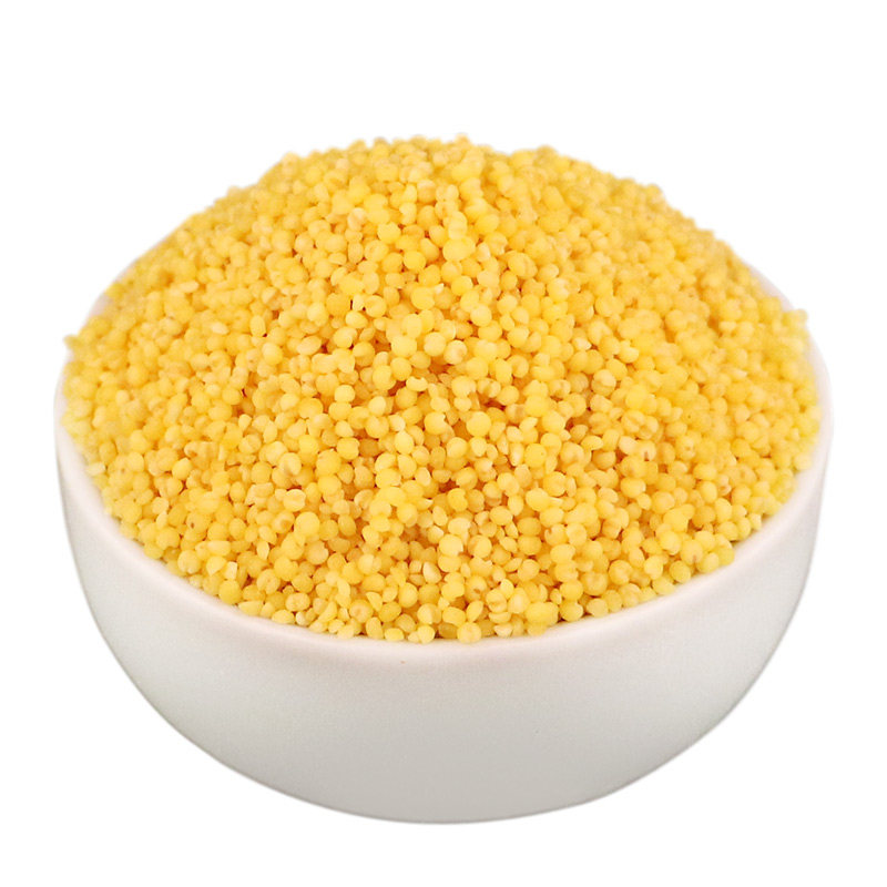 【天猫超市】柴火大院 有机小米1kg红谷小米五谷杂粮东北粗粮