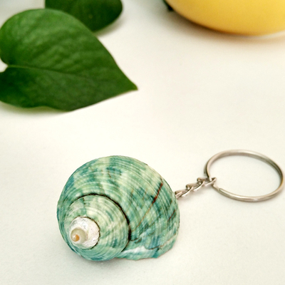 贝壳海螺工艺品钥匙链钥匙扣地摊热卖挂件货源个性创意钥匙扣挂件