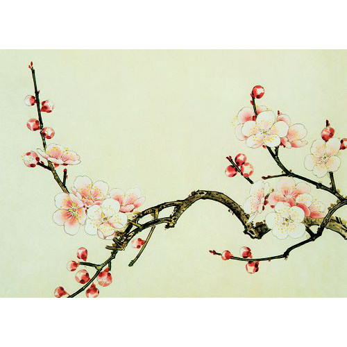 刺绣装饰画_苏绣diy套件初学入门梅花花草自学手工刺绣装饰画零基础