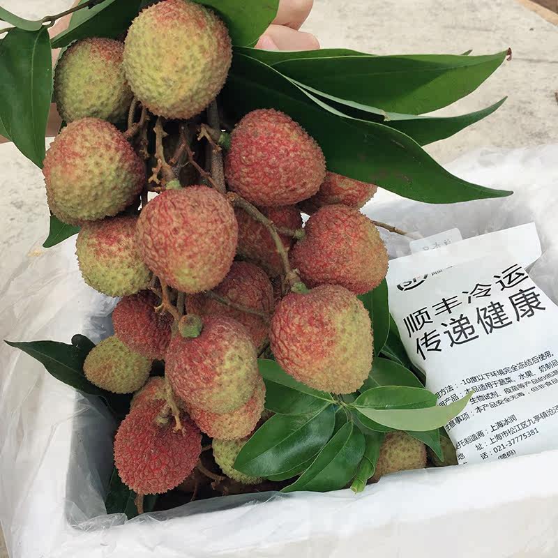 现摘现发 新鲜广西灵山妃子笑 老树荔枝 孕妇水果5斤顺丰包邮现货