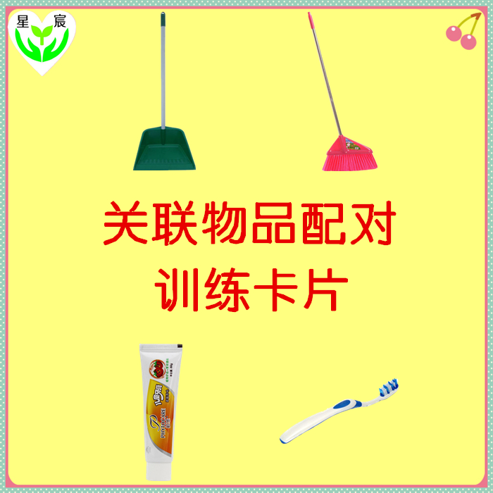 训练干预卡片 特教教具 孤独症 发育迟缓 自闭症 关联物品配对