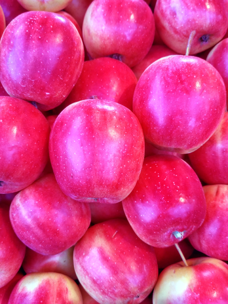 特价水果新鲜 现摘现发_东北123沙果胜海棠果东北特产新鲜水果现摘现