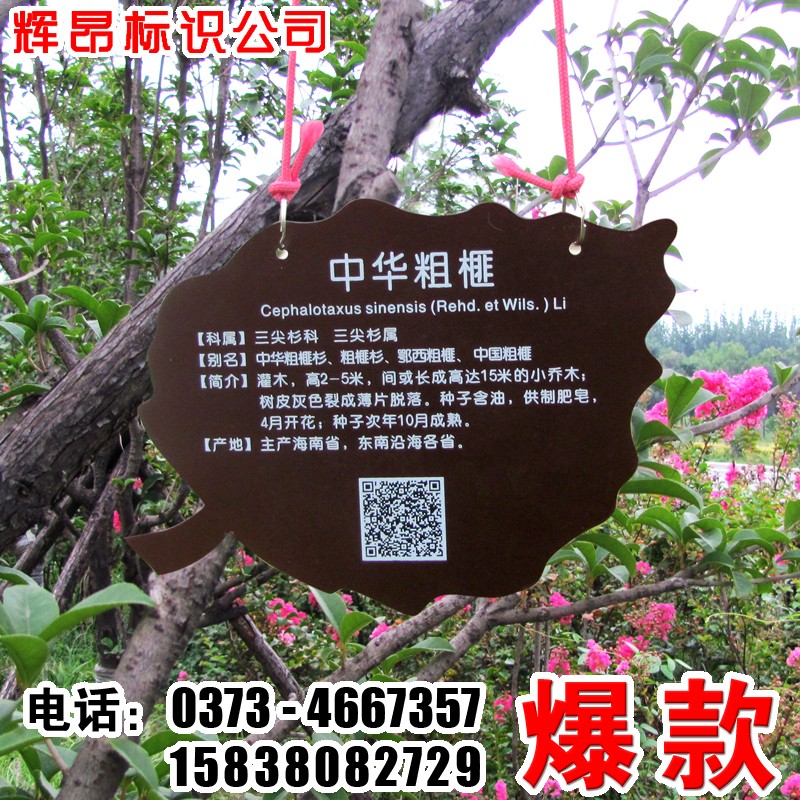 亚克力花草牌树木介绍挂牌植物简介幼儿园插地树牌广告标识牌定制