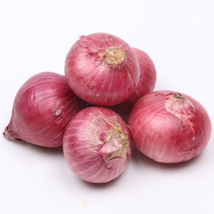 密云山区种植 葱头小洋葱 新鲜蔬菜 圆葱调味菜 白皮洋葱 500g