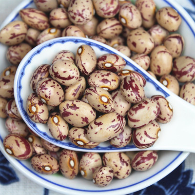 雀蛋豆 新货农家自种金丝豆红花豆奶花豆芸豆杂粮粗粮250g满包邮