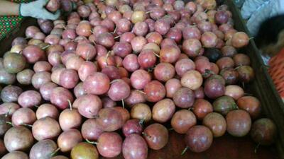 新鲜广西百香果大果鸡蛋果西番莲热带水果孕妇酸甜果现货包邮5斤