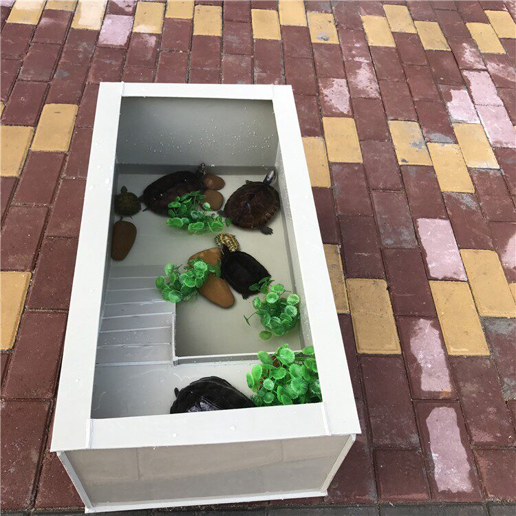 乌龟缸 水陆缸 生态_别墅塑料大型缸带晒台乌龟生态乌龟池养大型缸水