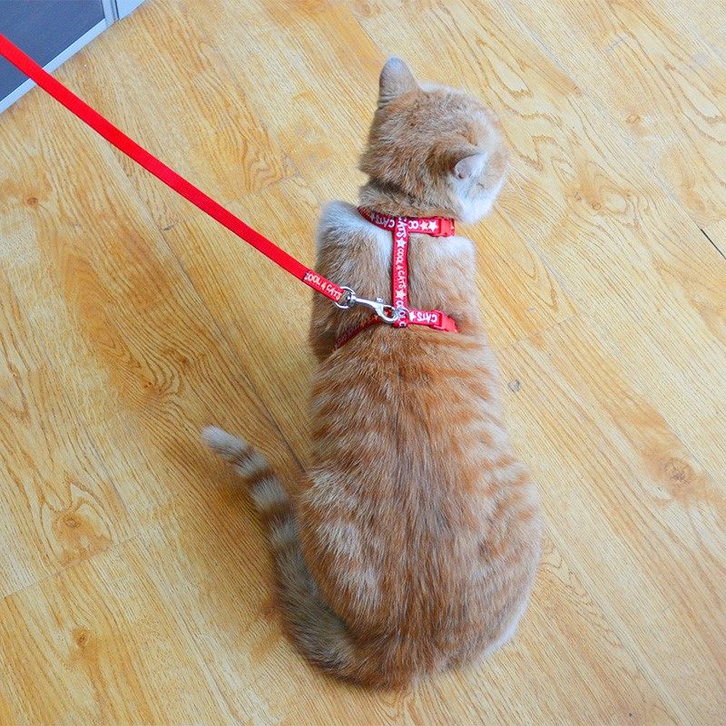 热销牵引绳 猫 公主_公主新品牵引绳狗狗式 防挣脱捆猫绳 猫背心猫咪