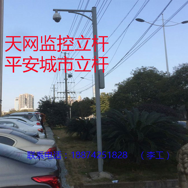 平安城市监控立杆天网监控热镀锌喷塑监控杆4米4.5米5