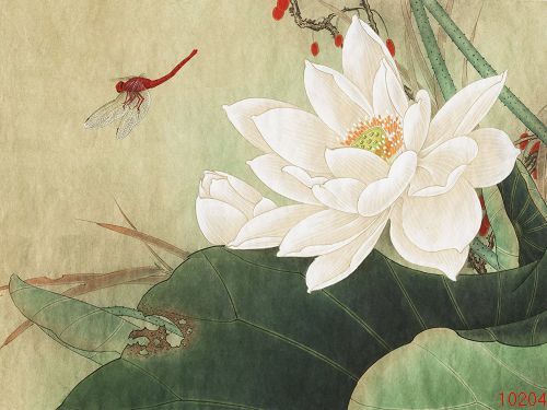 一折刺绣画diy_苏绣diy套件初学 白荷花 蜻蜓30*40 手工礼品刺绣装饰