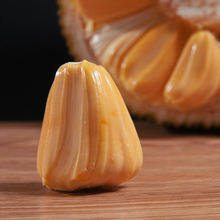 【热带水果新鲜菠萝蜜】_热带水果新鲜菠萝蜜