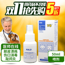 【狗伤口消炎】_狗伤口消炎图片