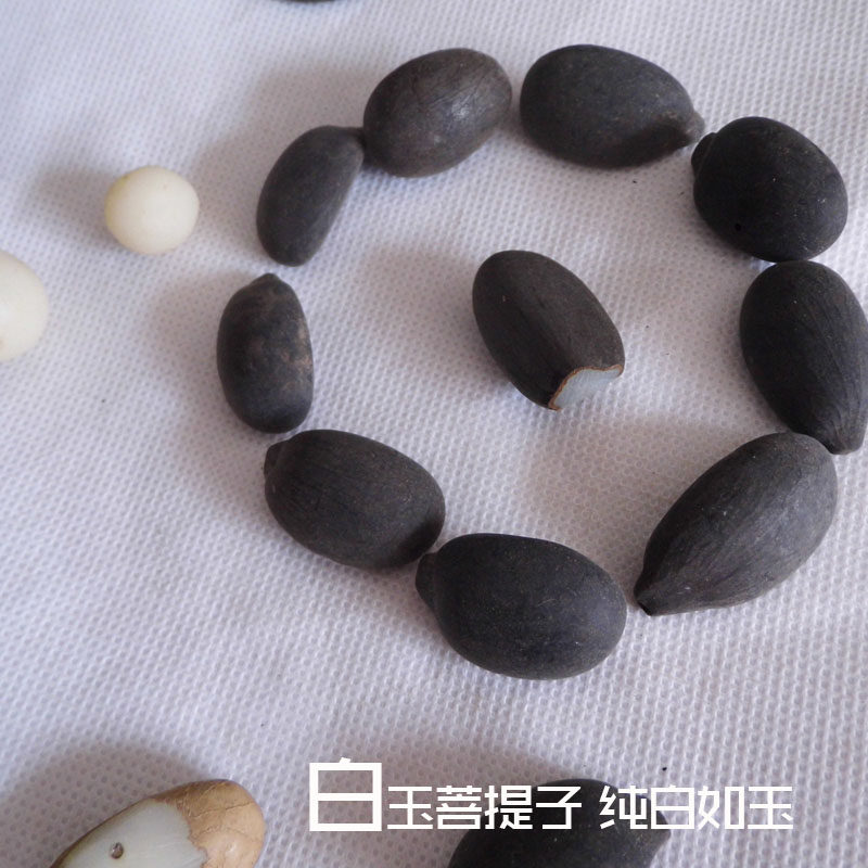 白玉菩提子原籽