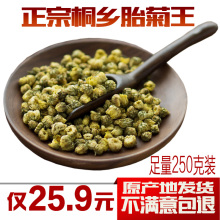 【杭州胎菊】_杭州胎菊图片