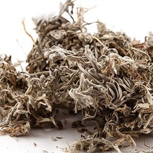 【茵陈五苓散】_茵陈五苓散图片