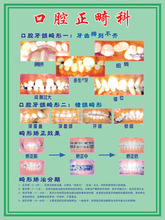 【口腔科挂图】_口腔科挂图图片