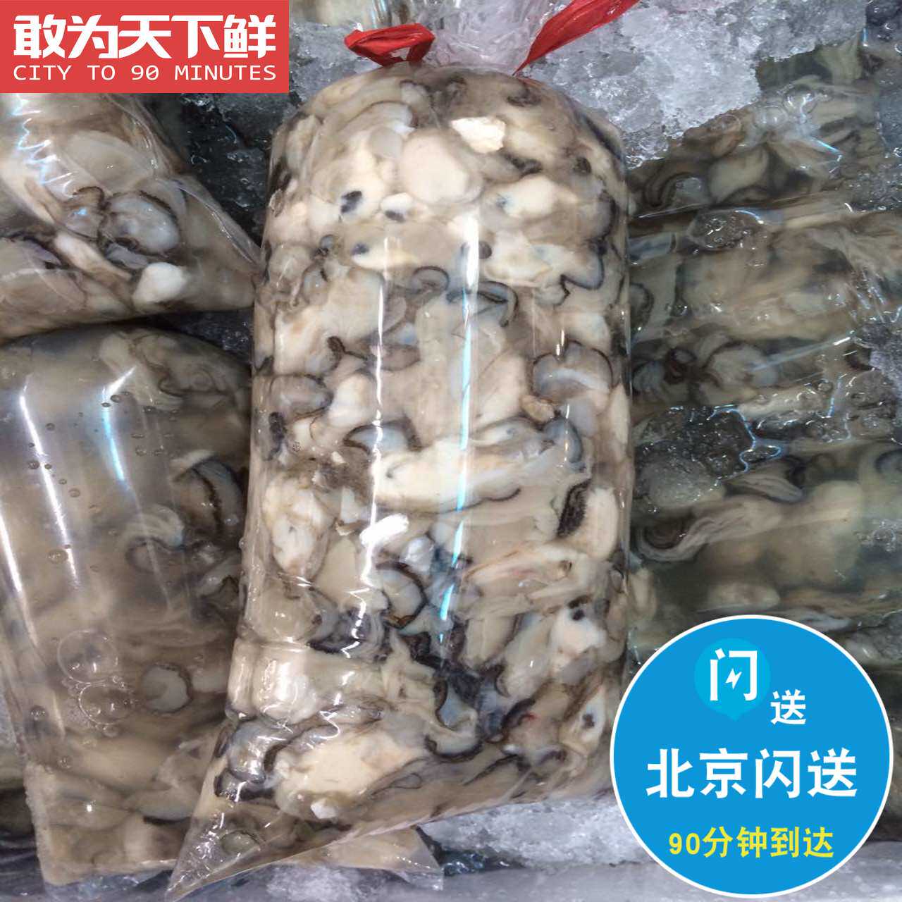 一折牡蛎片 同仁堂_500g/袋新鲜现剥 海蛎子肉 生蚝牡蛎纯肉正宗现捞