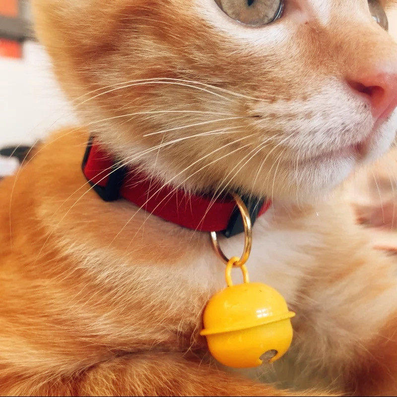 一折猫铃铛项圈 猫咪领