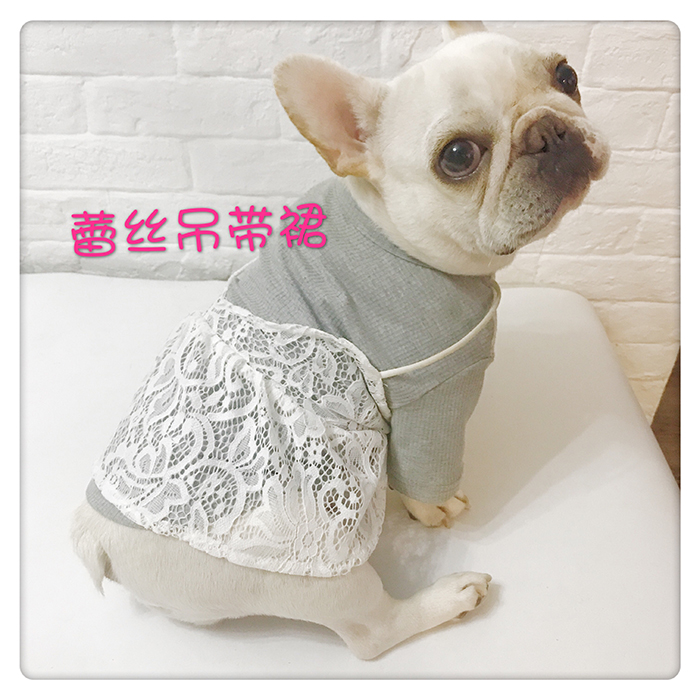 比熊衣服冬 公主_狗狗衣服秋冬薄款泰迪法斗衣服宠物狗比熊蕾丝吊带裙