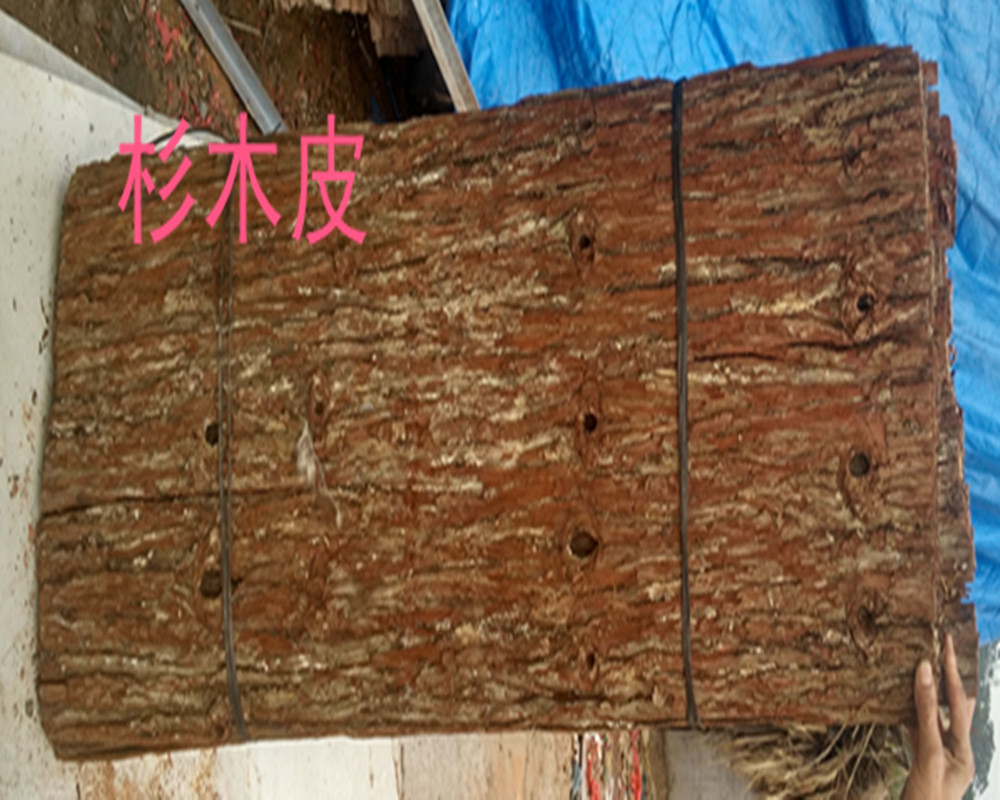真树皮杉树皮天然杉木皮节日装饰防腐树皮复古包水管店面农庄装饰
