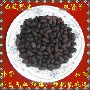 西藏特产野生双肾子益精养血滋肺藏药中药材泡药酒
