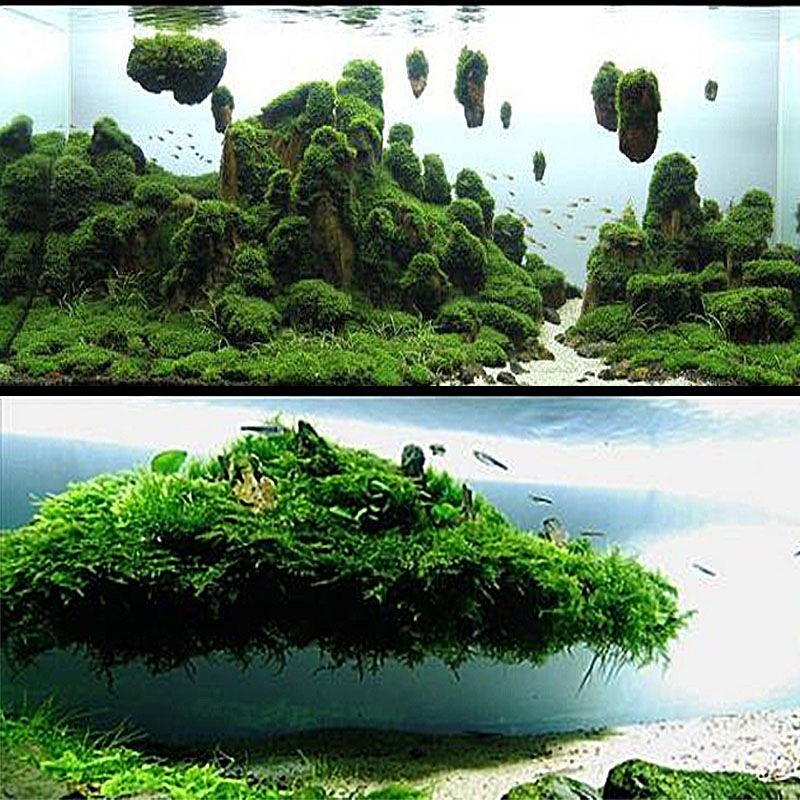 水族阿凡达造景悬浮石小型天然浮石造景石水草造景高端素材
