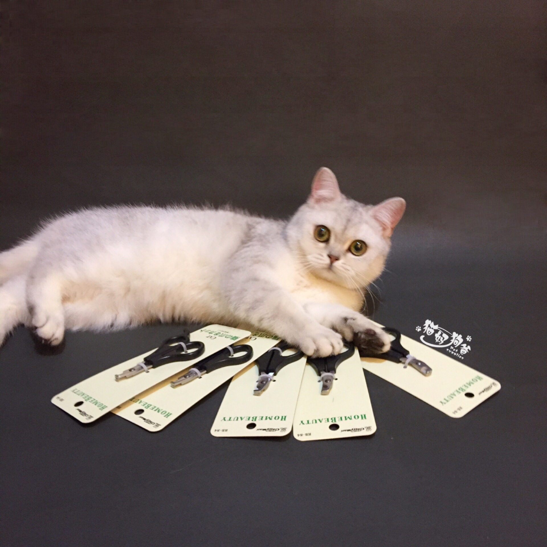 猫指甲刀大额优惠券