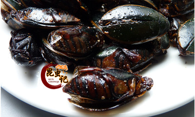 金边龙虱新鲜现拍现炸即食龙虱油炸昆虫美食野味