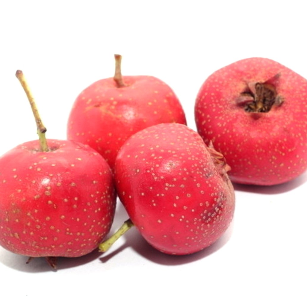 新鲜山楂5斤现摘现发 大金星山里红山楂红果冰