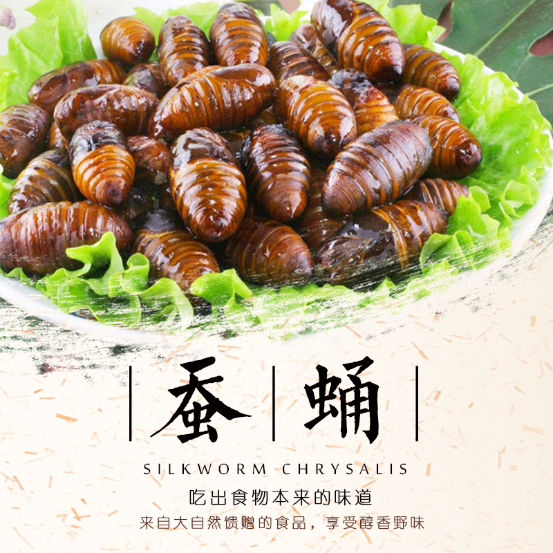 山东农家特产无盐新鲜蝉蛹小蚕蛹小黄蛹桑蚕蛹生茧蛹4