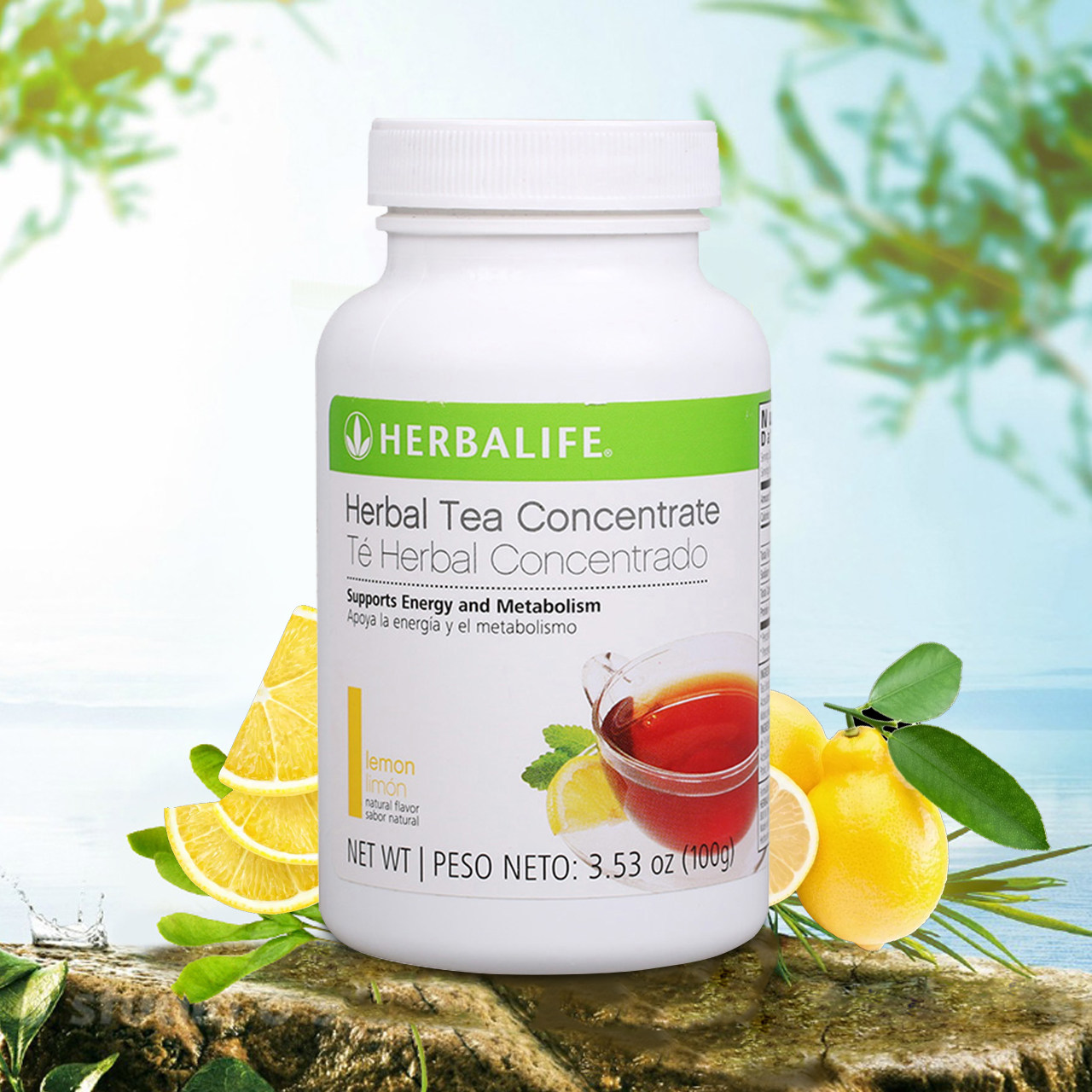 美国solgar绿茶叶浓缩精华增强免疫清肺润肺茶多酚化痰排烟毒60粒