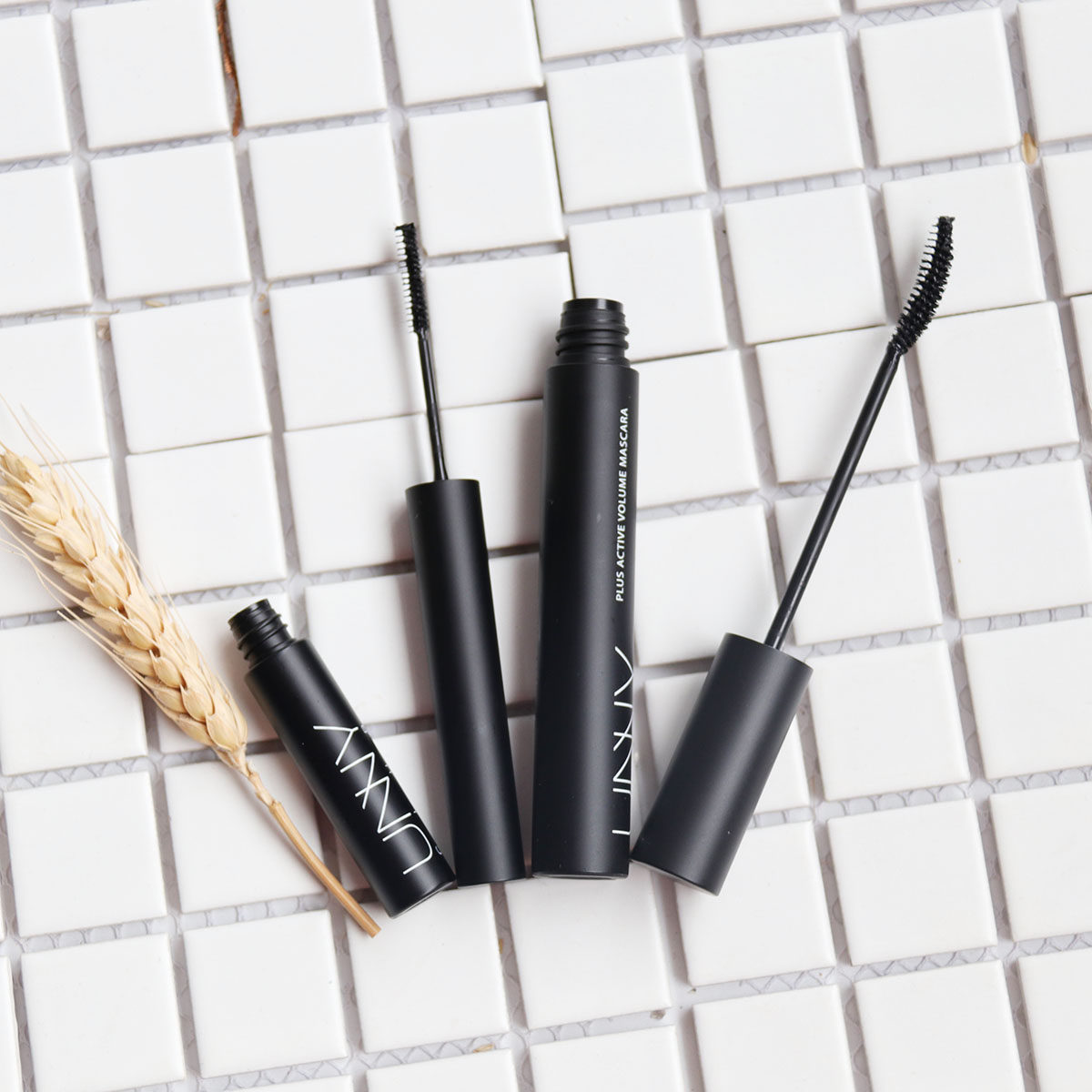 两月 让睫毛美出天际 mistine泰国4d睫毛膏双头卷翘浓密纤长嫁接