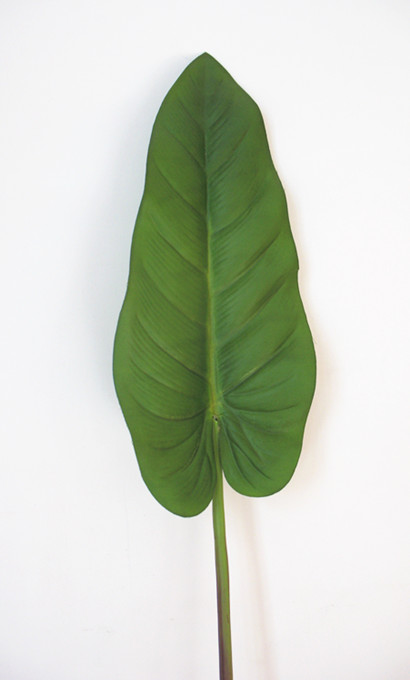克瑞瑅小号海芋叶滴水观音叶过胶仿真马蹄莲叶假草插花配叶装饰草