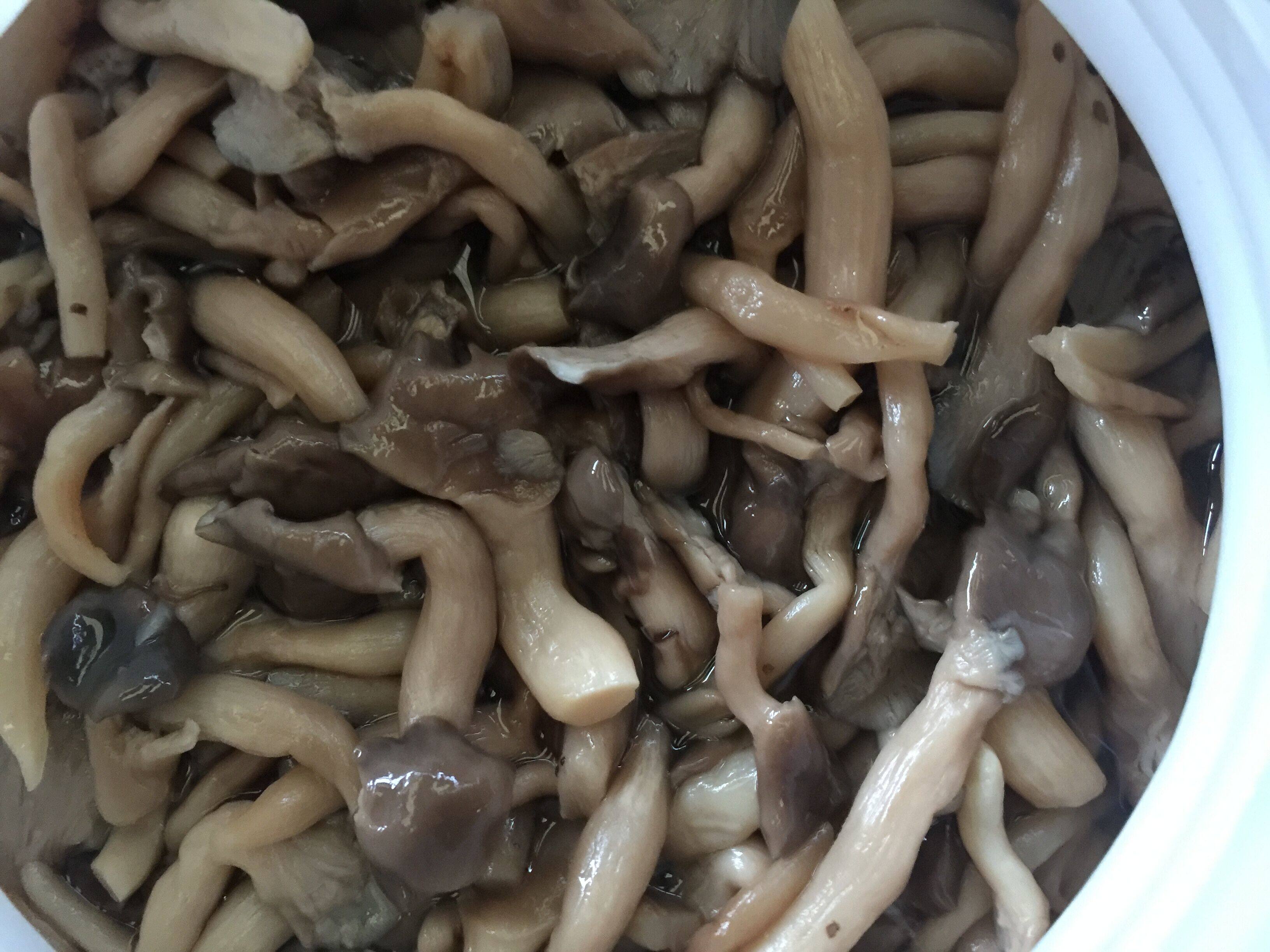 广东省包邮省外低运费 38斤净重 凉拌菜原料 一级菇蘑菇腌制