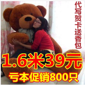 毛绒 泰迪熊正品